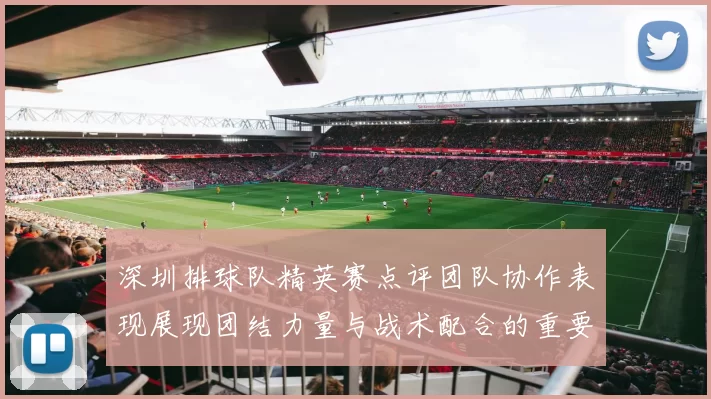 深圳排球队精英赛点评团队协作表现展现团结力量与战术配合的重要性