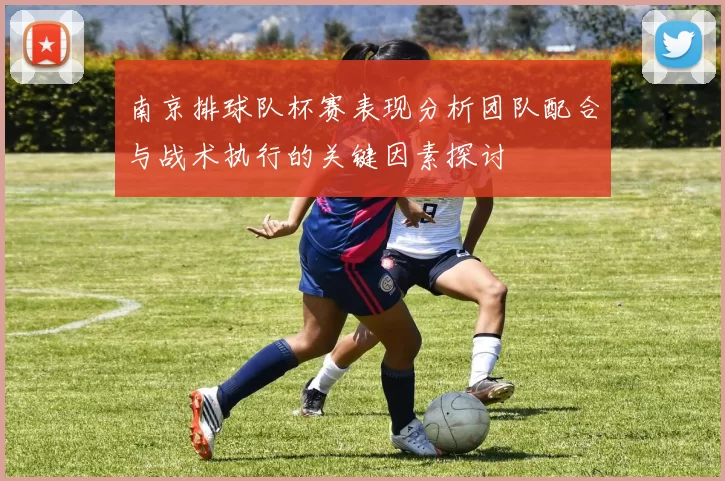 南京排球队杯赛表现分析团队配合与战术执行的关键因素探讨