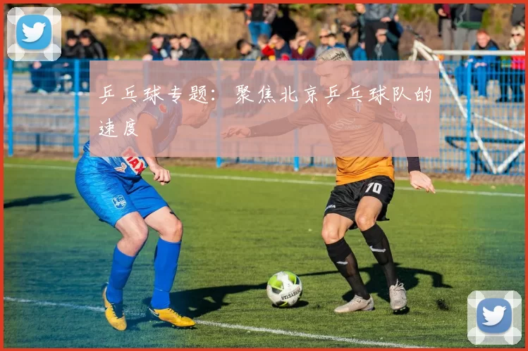 乒乓球专题：聚焦北京乒乓球队的速度