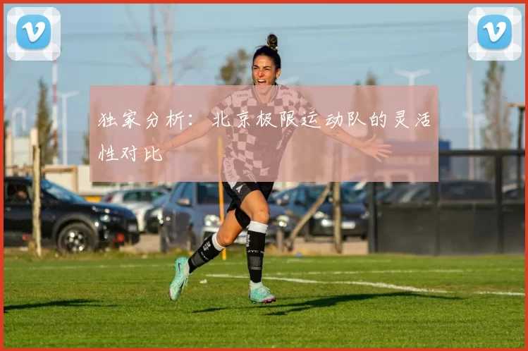 独家分析：北京极限运动队的灵活性对比