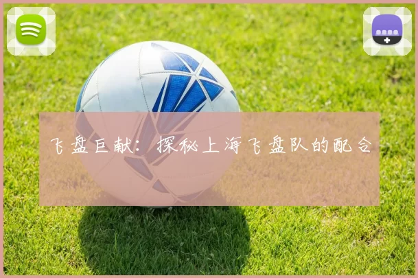 飞盘巨献：探秘上海飞盘队的配合