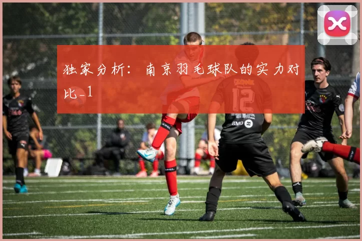 独家分析：南京羽毛球队的实力对比_1