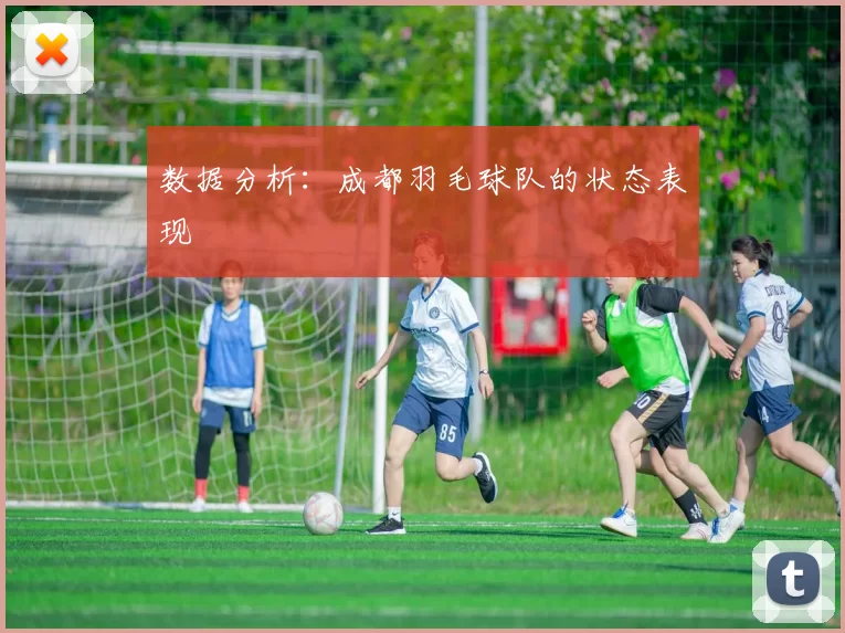 数据分析：成都羽毛球队的状态表现