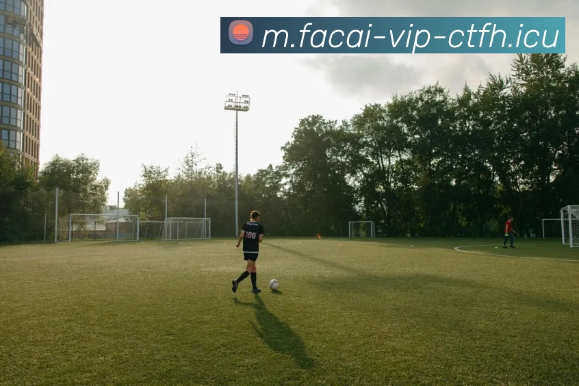 星空体育发展历程